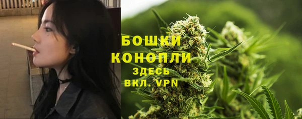 спайс Майский