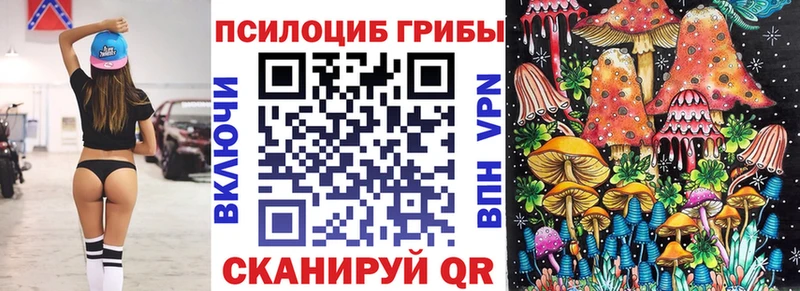 Псилоцибиновые грибы мицелий  mega зеркало  Островной 